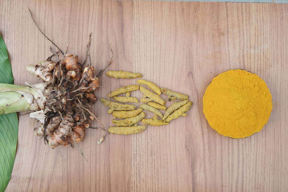 kapha food balance: The Ayurvedic Key to Sustainable Weight Loss